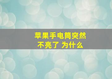 苹果手电筒突然不亮了 为什么